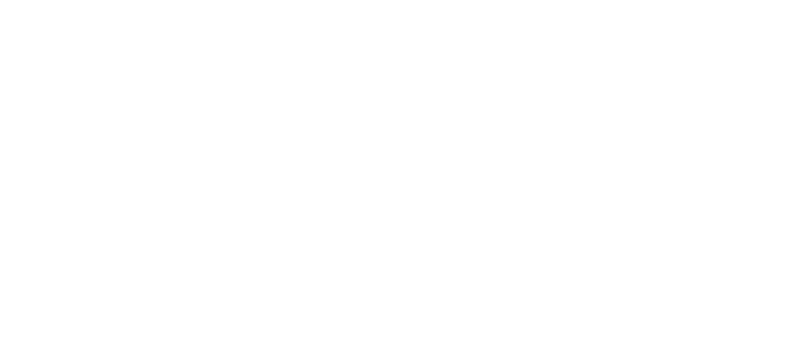 Organiza